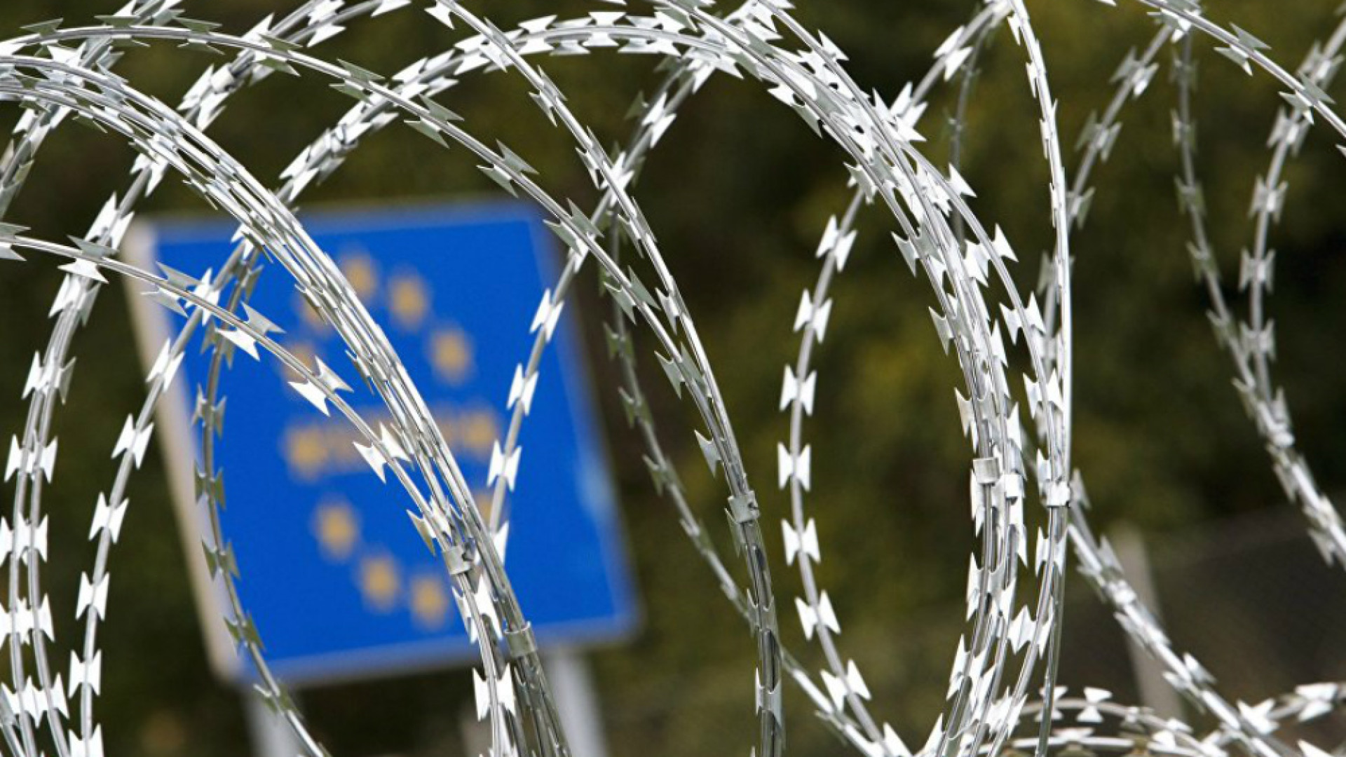 Immagine di L’Europa è la casa comune che dobbiamo contribuire a migliorare e a far vivere
