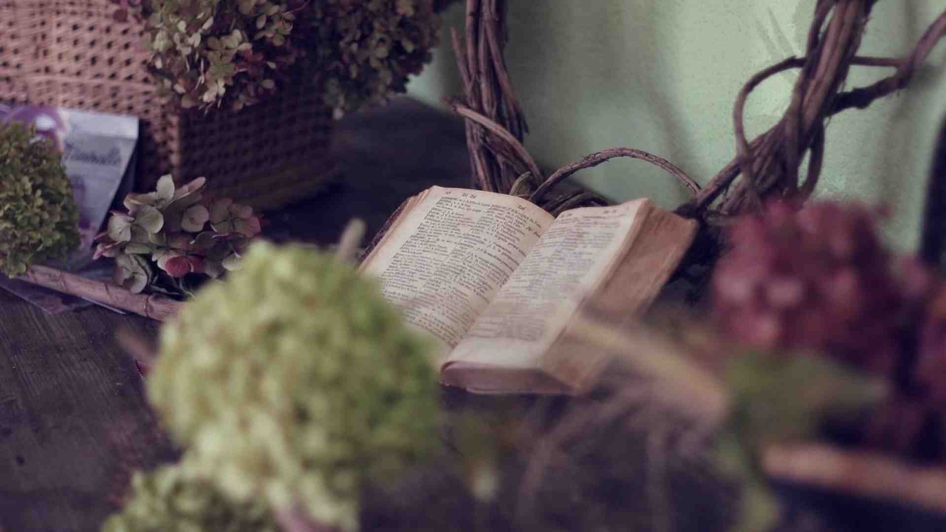 Immagine di Maratona di lettura a San Pietro in Colle