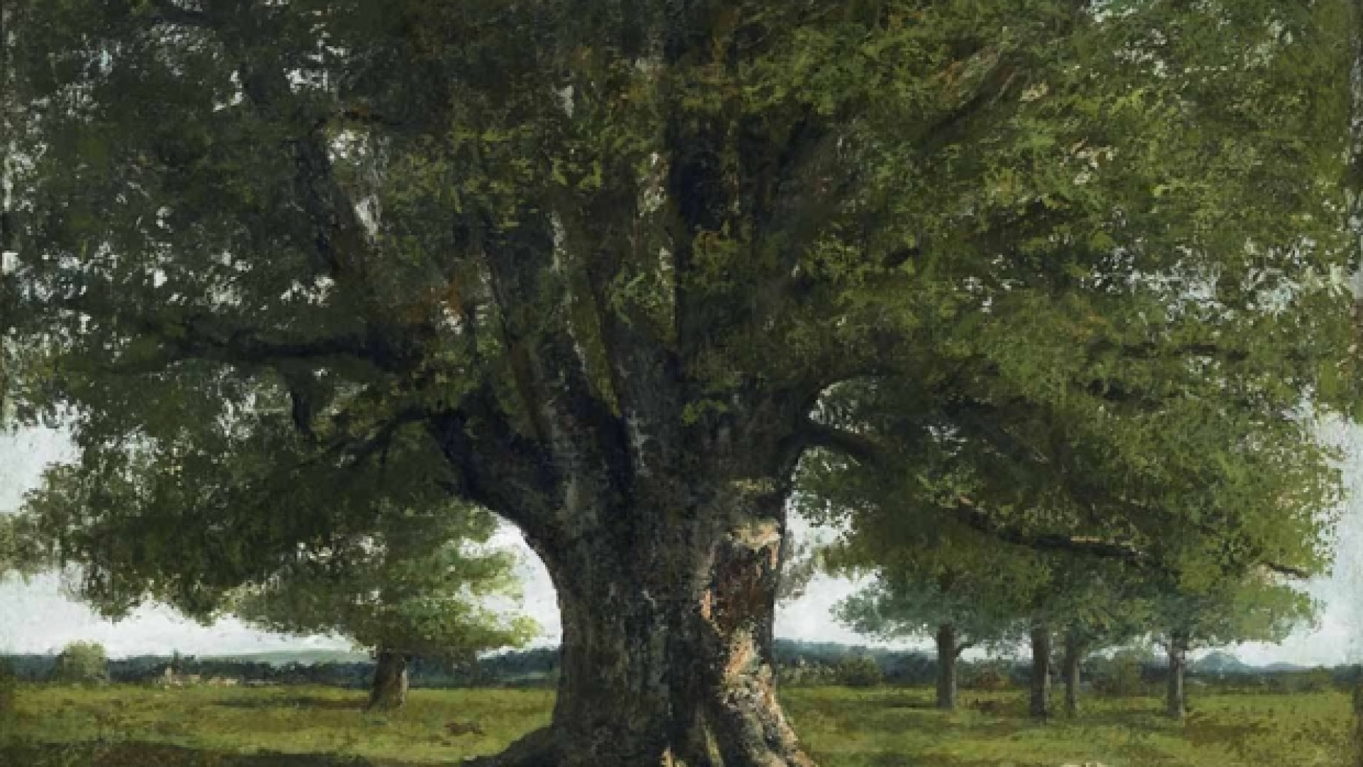 Immagine di Courbet e le seduzioni di Madre-Materia