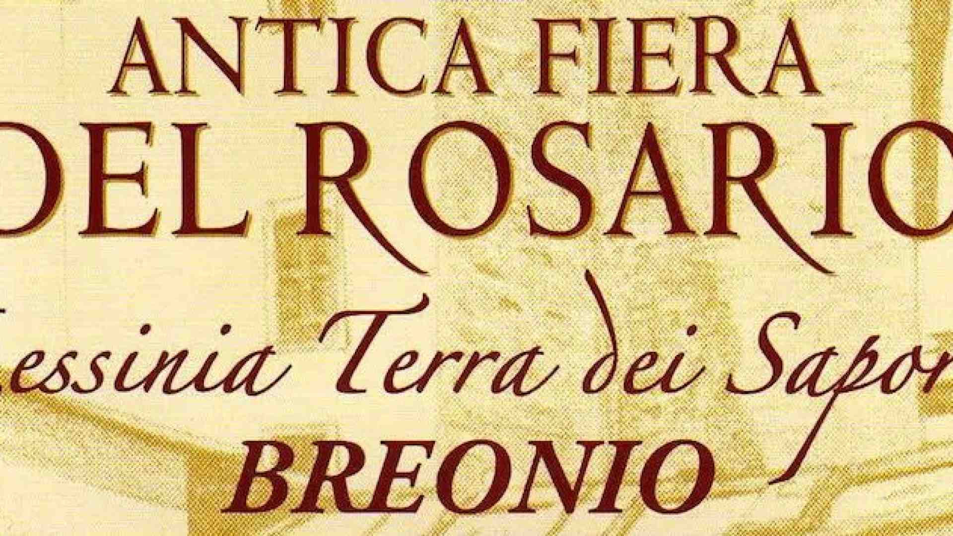 Immagine di Mercati contadini e Antica fiera del Rosario