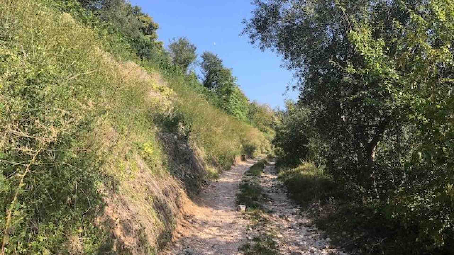 Immagine di Sulle orme di Salgari nelle colline sopra Negrar