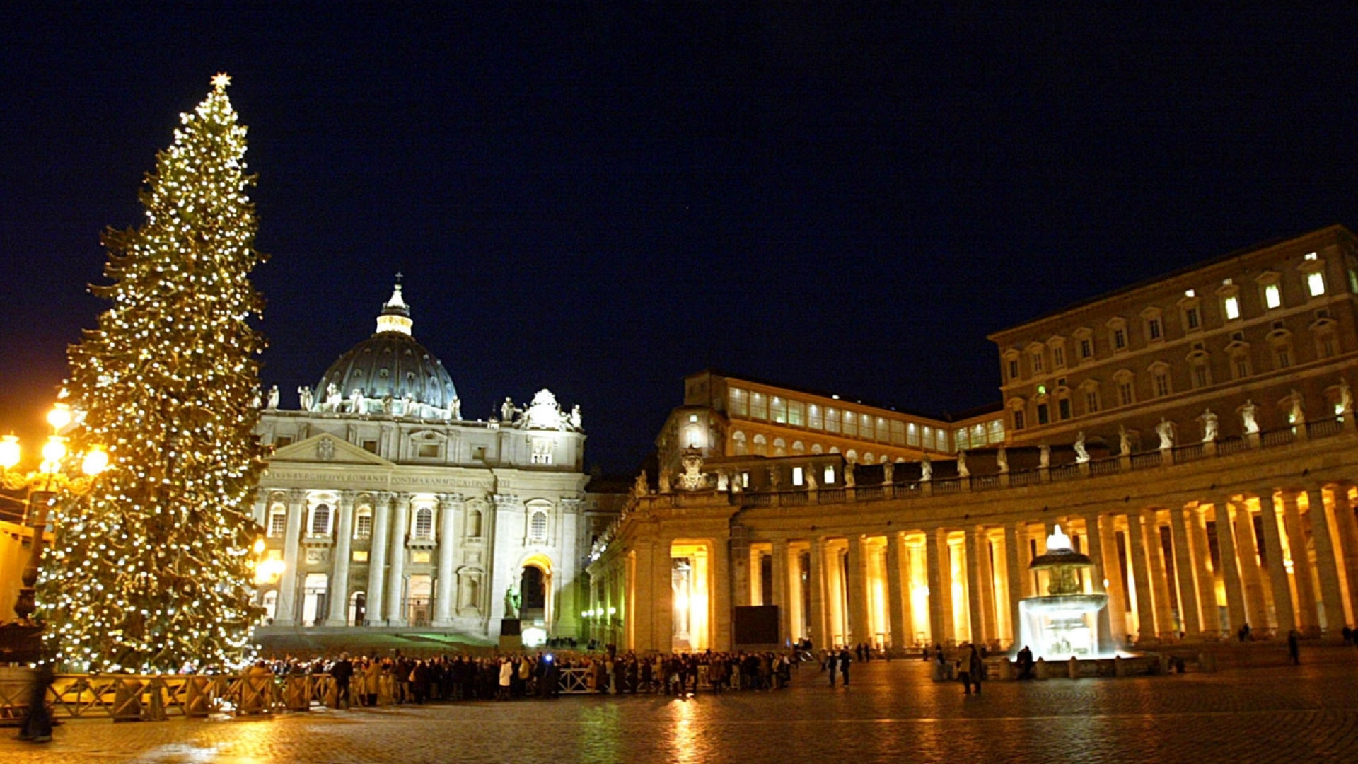 Immagine di Verrà dal Friuli Venezia Giulia l'albero di Natale per Piazza San Pietro