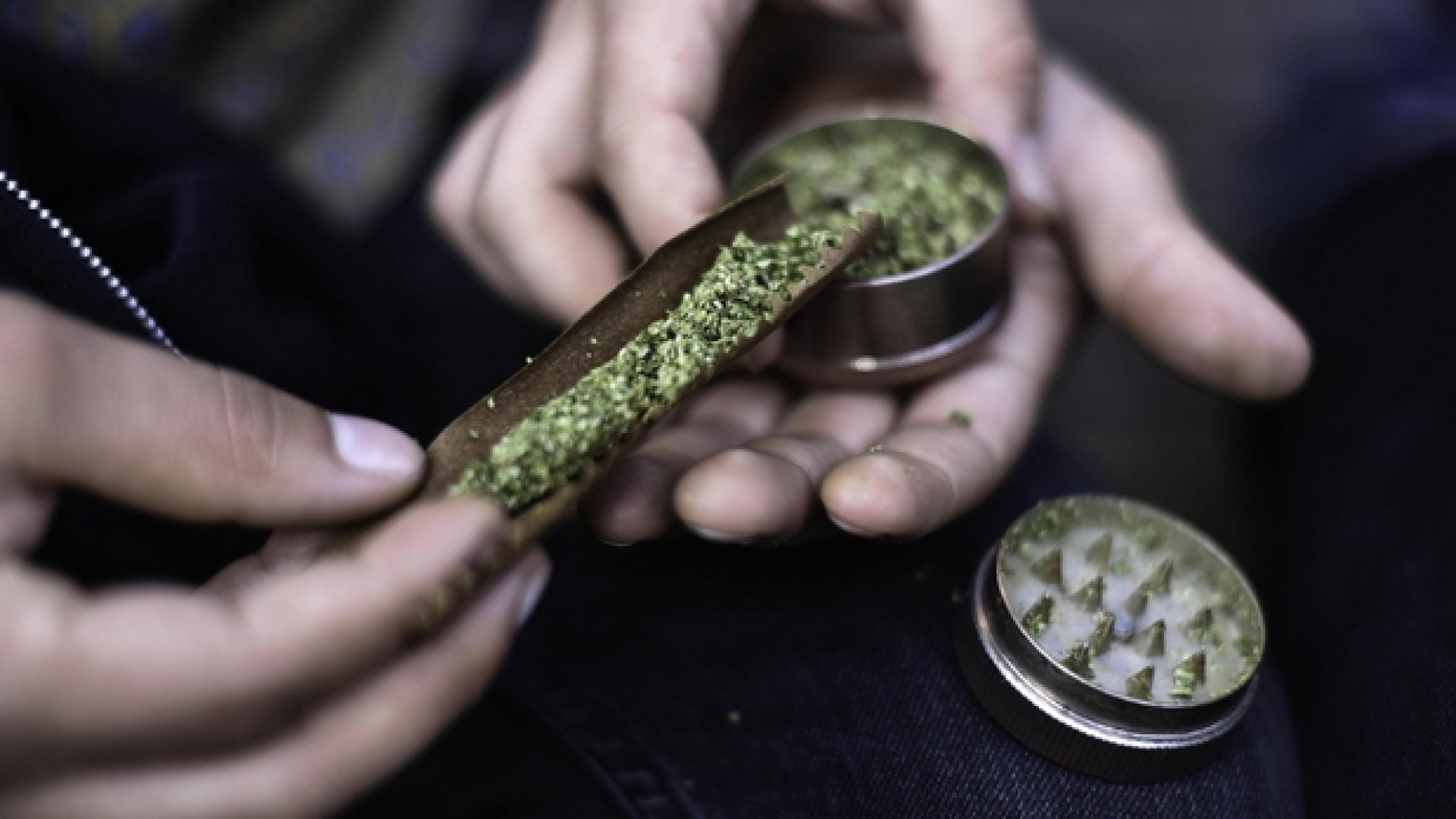 Immagine di Cannabis, quella light non esiste
