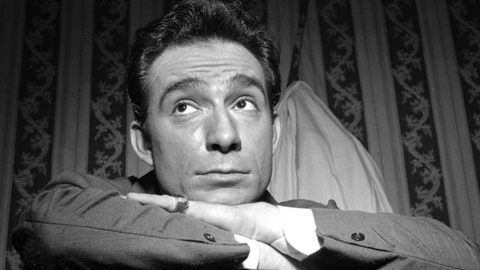 Immagine di Orfani d'Antani: l'eredità di Tognazzi in trenta corti