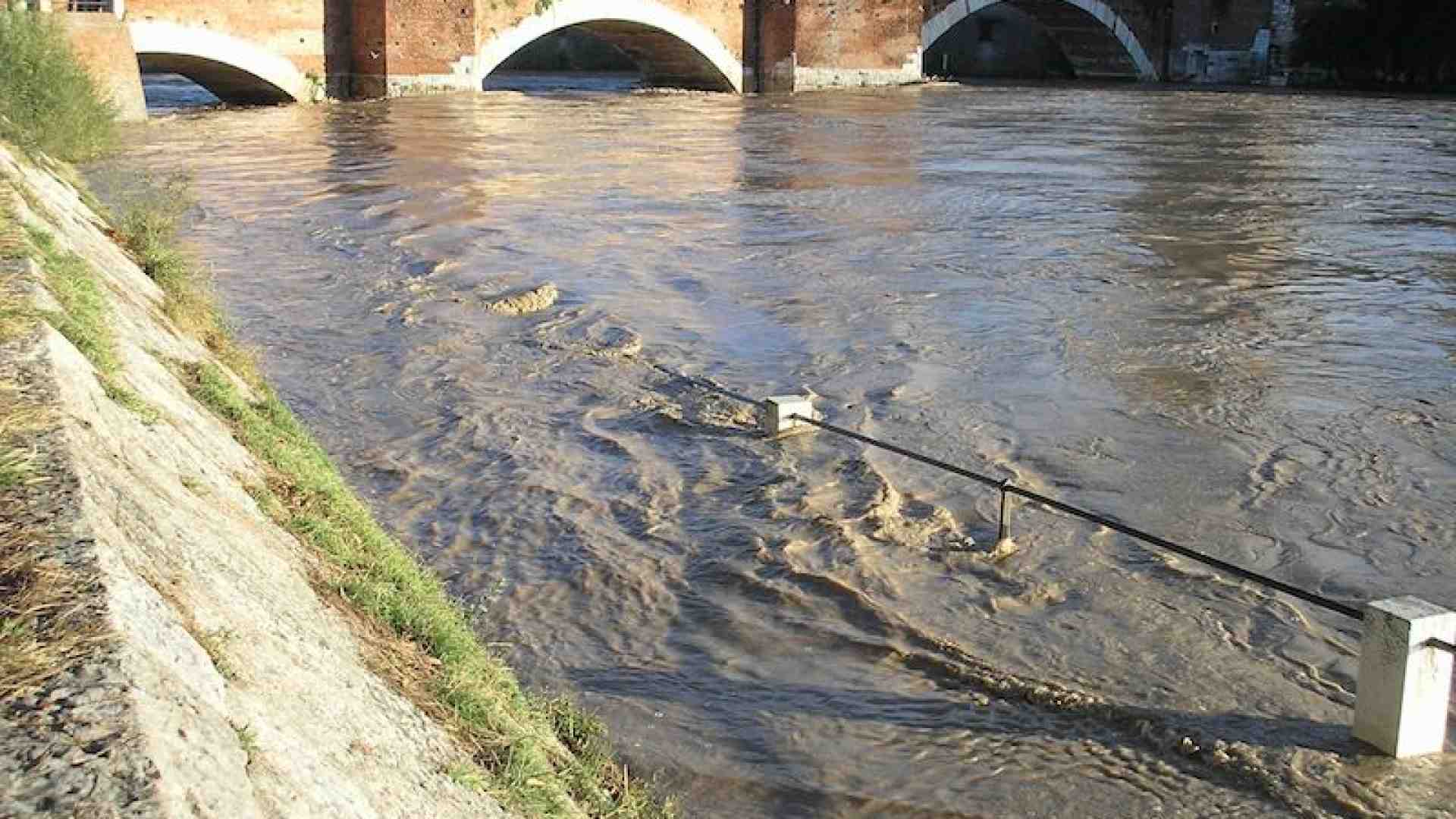 Immagine di L'Adige in piena