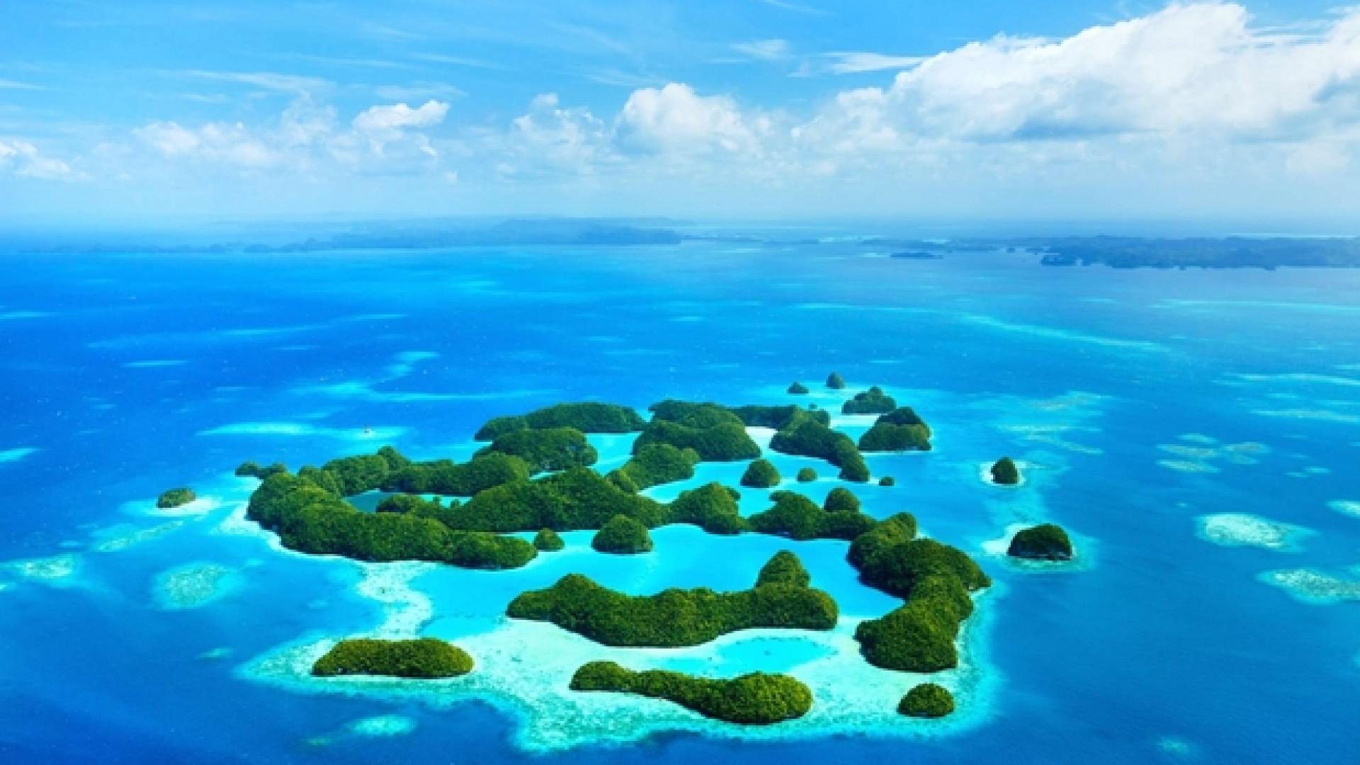Immagine di L'arcipelago di Palau mette al bando le creme solari: uccidono i coralli