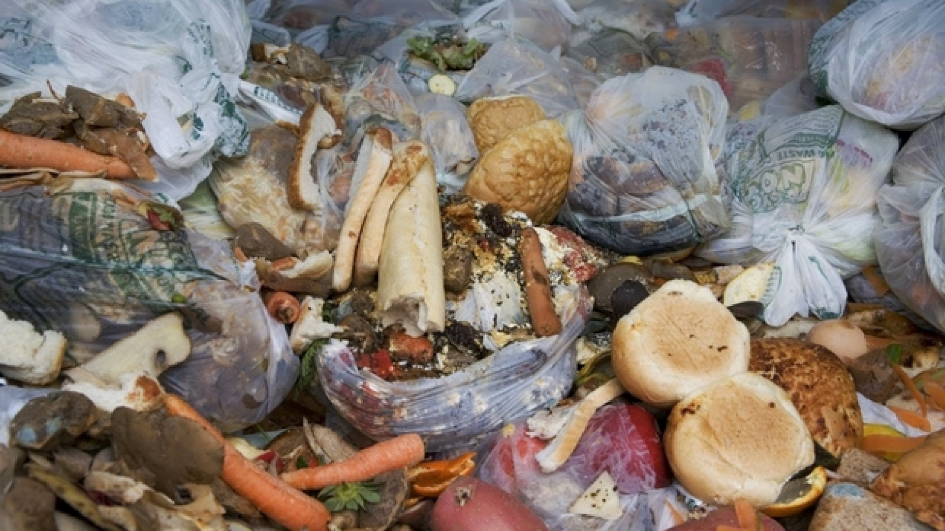 Immagine di Accordo sull'anti-spreco alimentare