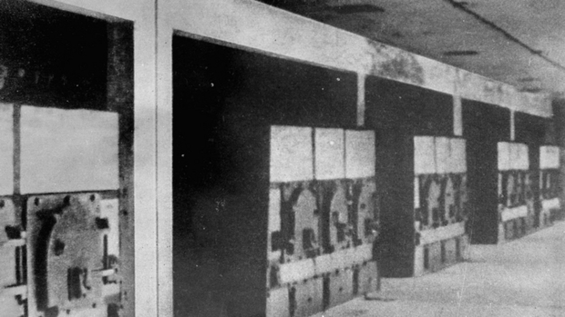 Immagine di «Topf e figli»: la storia della fabbrica che inventò i forni crematori
