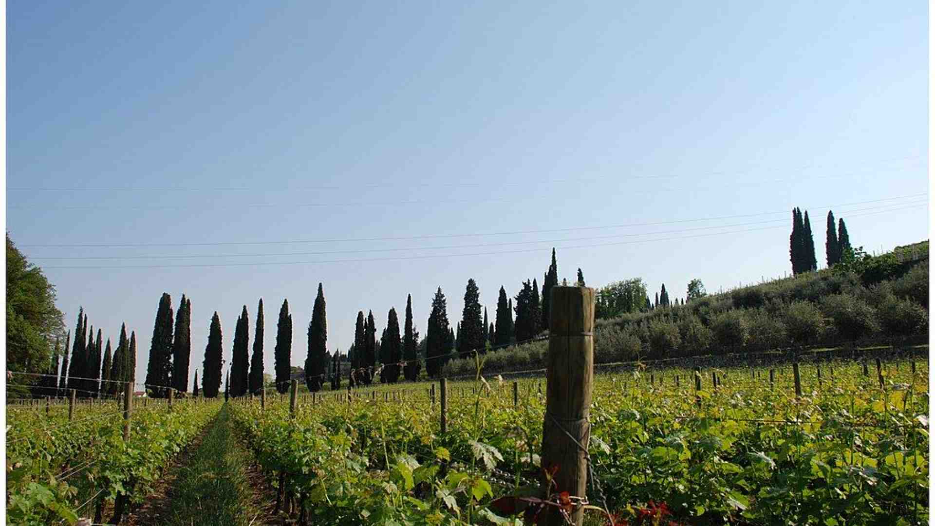 Immagine di L'Annuario storico della Valpolicella finisce on line
