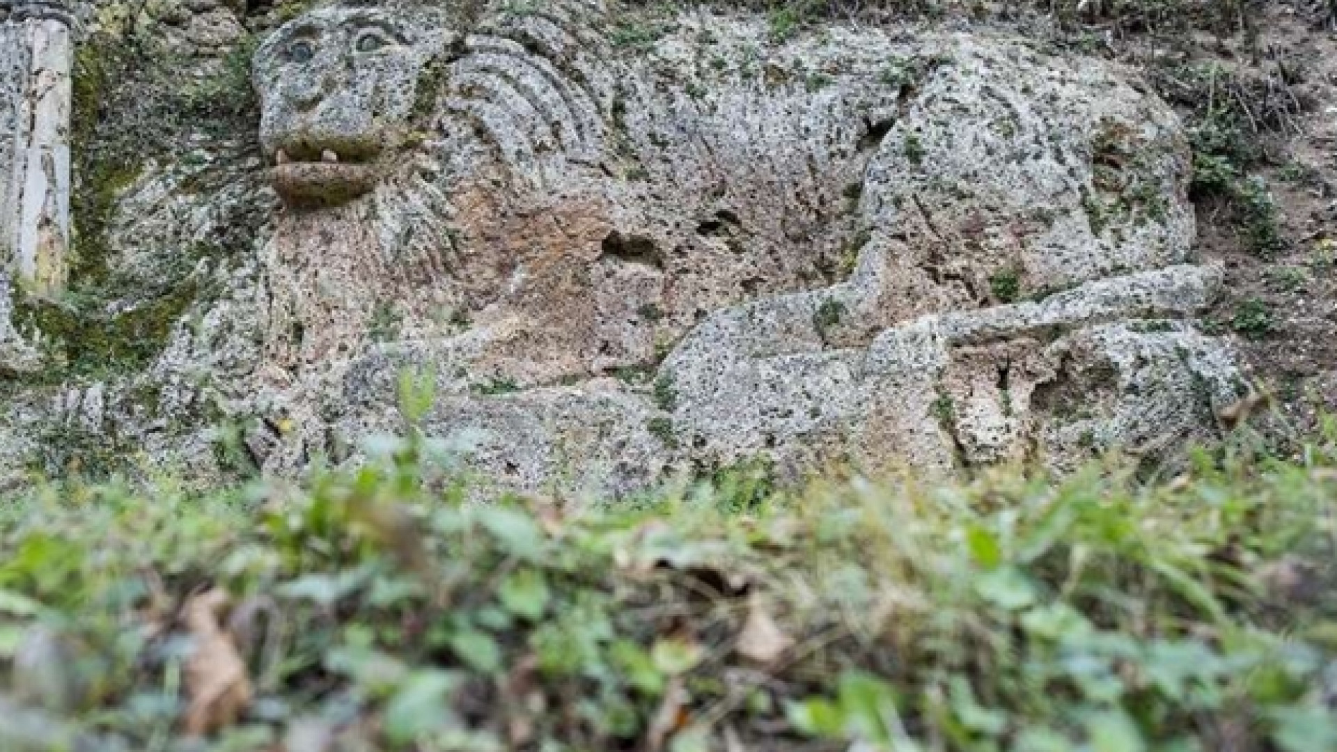 Immagine di Il parroco-scultore e il grande leone di Rasiglia