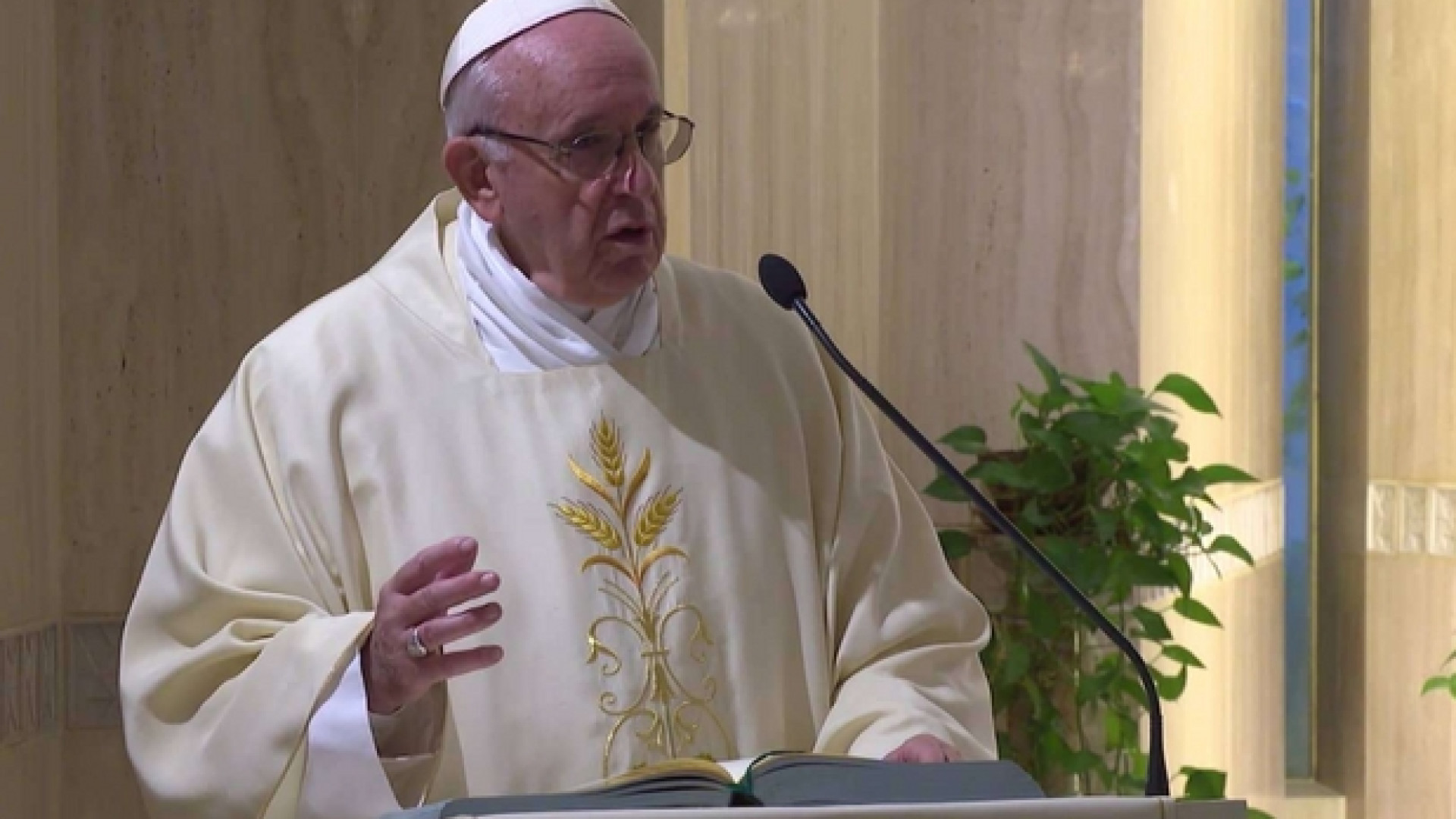 Immagine di Papa: la generosità delle piccole cose allarga il cuore