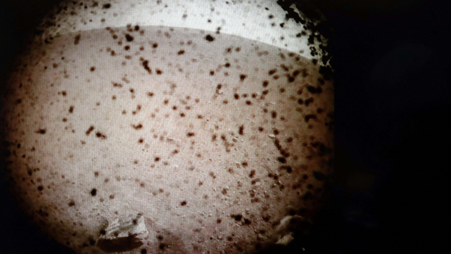 Immagine di La sonda InSight ce l'ha fatta: è atterrata su Marte (e manda foto)