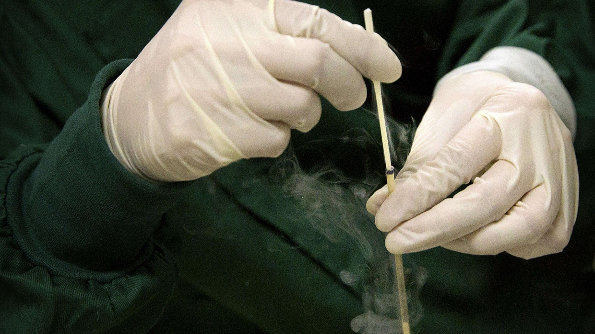 Immagine di Le gemelle con il Dna modificato: la Cina apre un'indagine