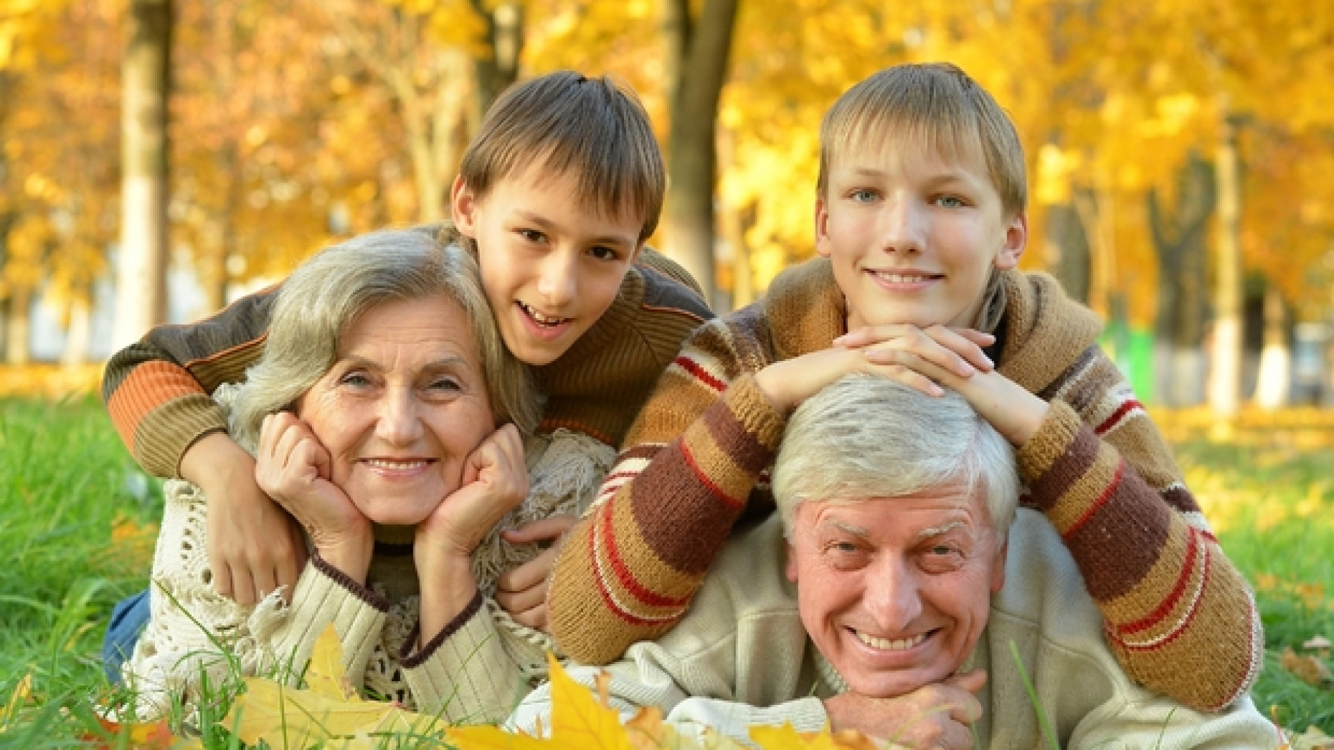 Immagine di Giornata per la vita. Il germoglio che arricchisce presente e futuro