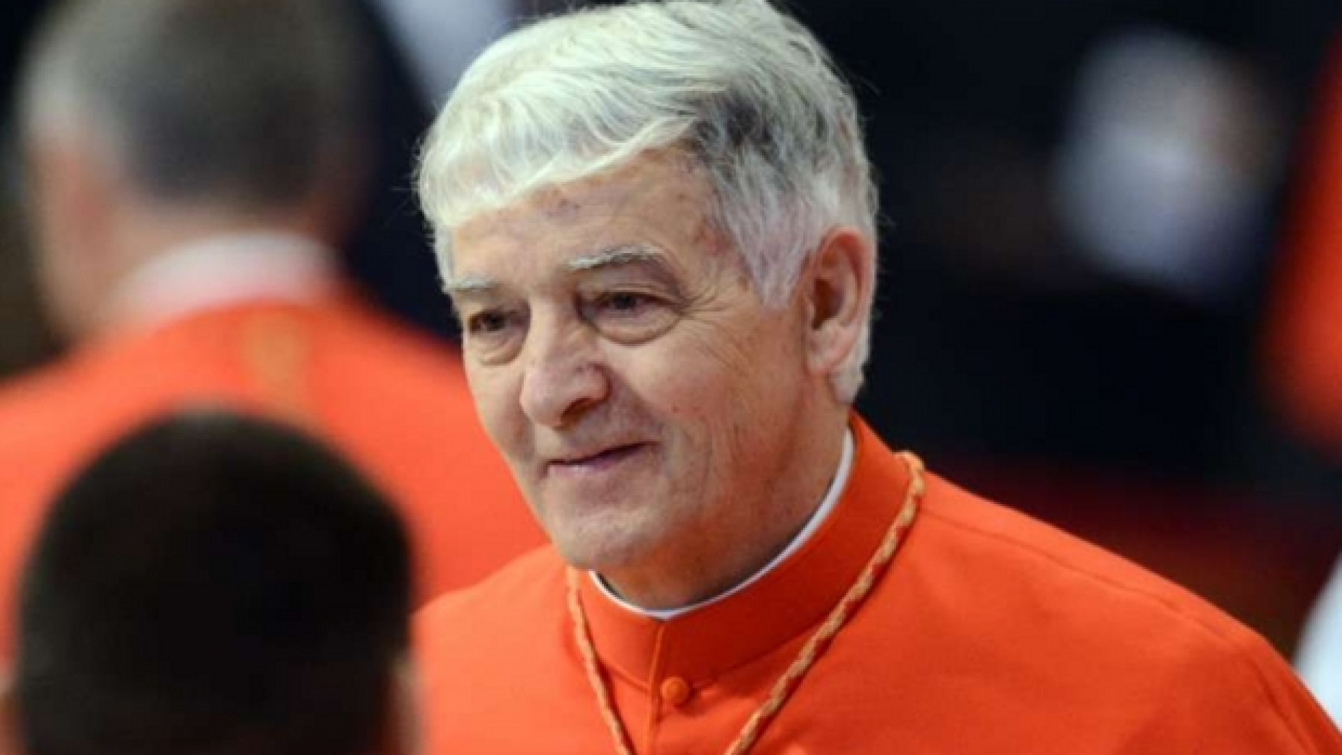 Immagine di Il cardinale Menichelli: «Non si può giocare con la vita»