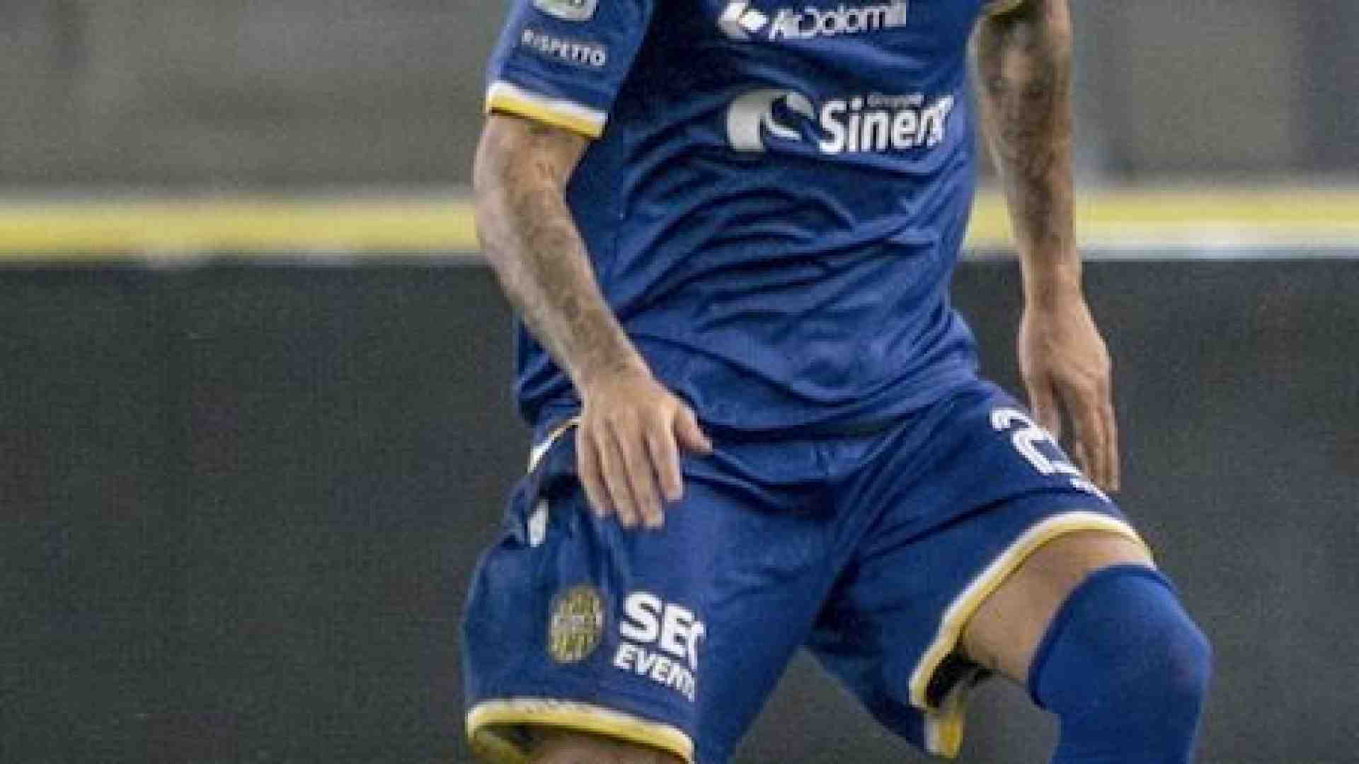 Immagine di L'Hellas affonda il delfino in riva all'Adige: 3-1