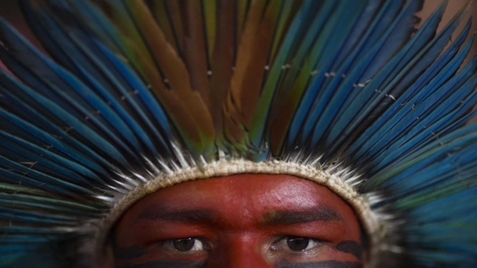 Immagine di Bolsonaro non perde tempo: guerra agli indios