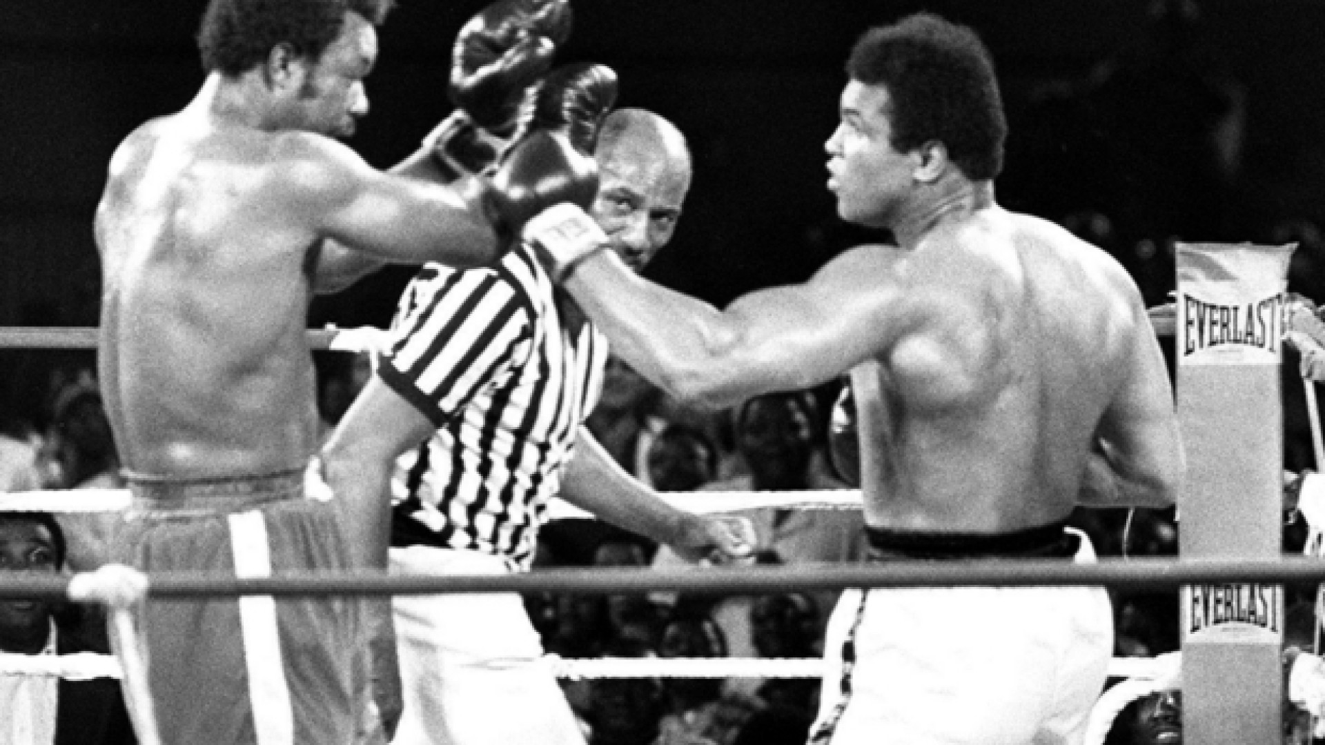 Immagine di I 70 anni di George Foreman, un leone del ring