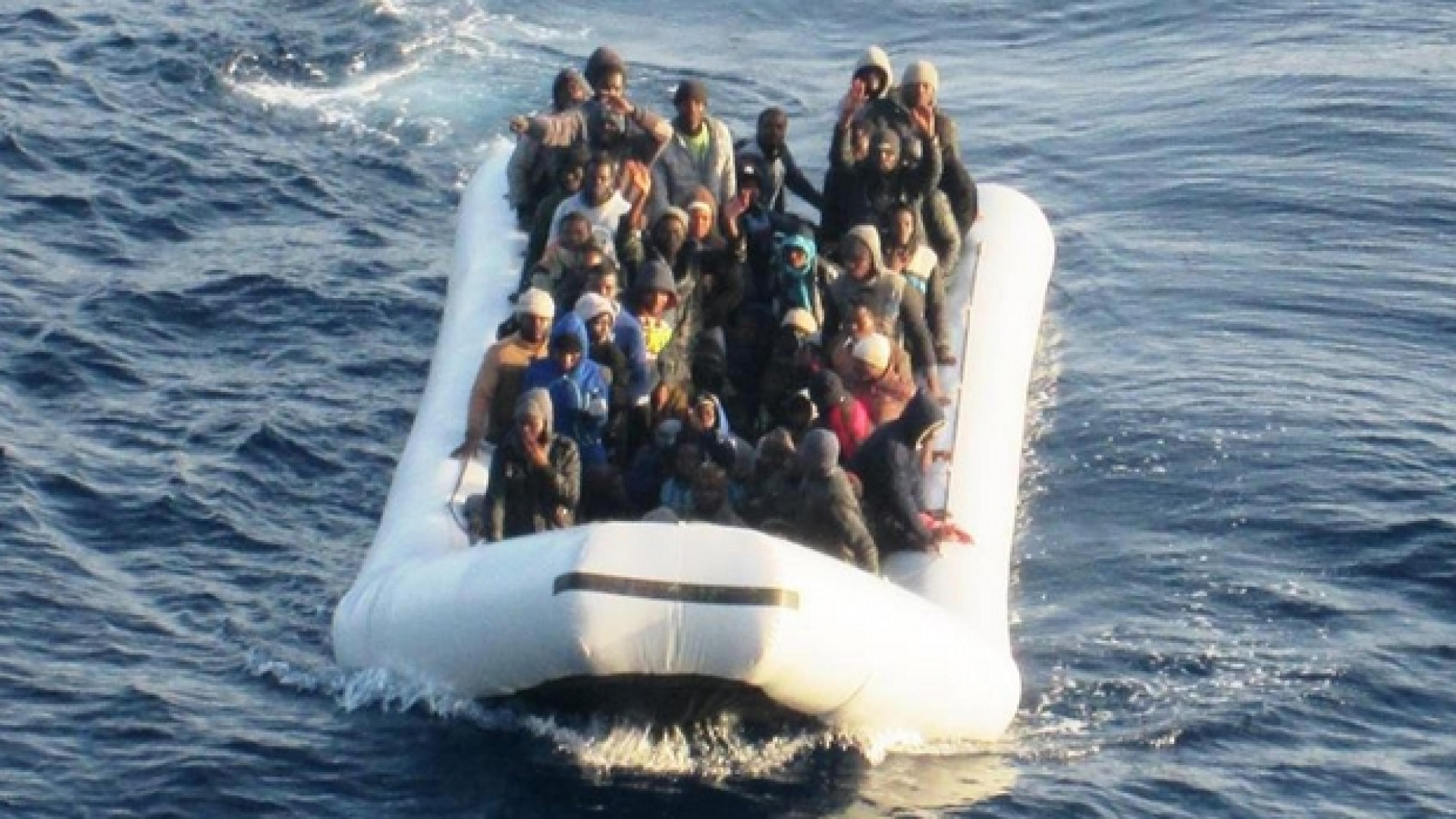 Immagine di Ecco quali sono i veri taxi del mare