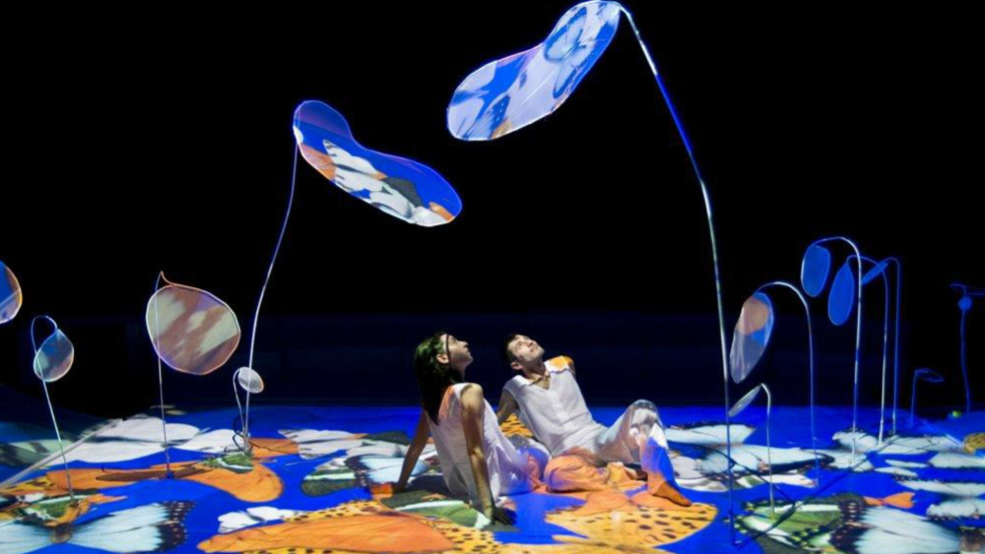 Immagine di In volo, come le “Farfalle”