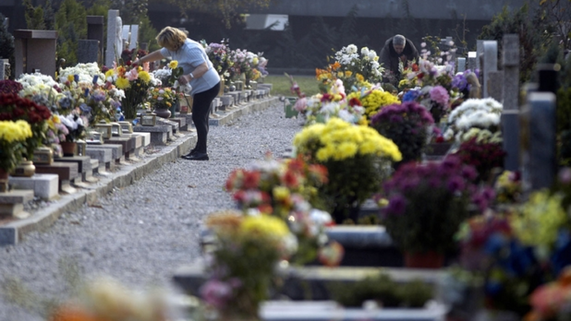 Immagine di Il funerale? Lo celebra un laico