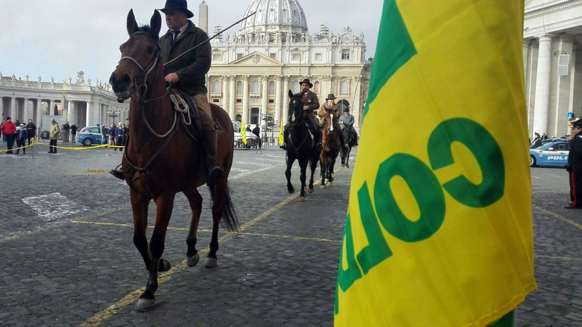 Immagine di Animali da fattoria in piazza San Pietro per la benedizione