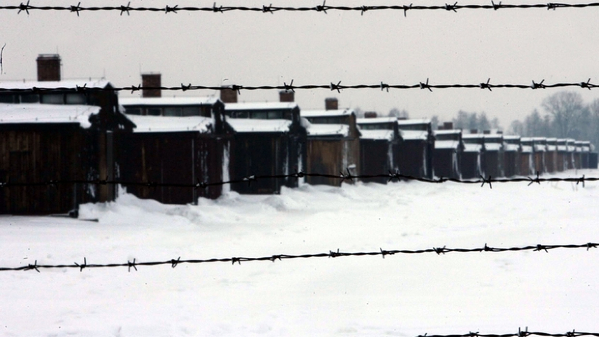 Immagine di La poesia indaga l'abisso della Shoah