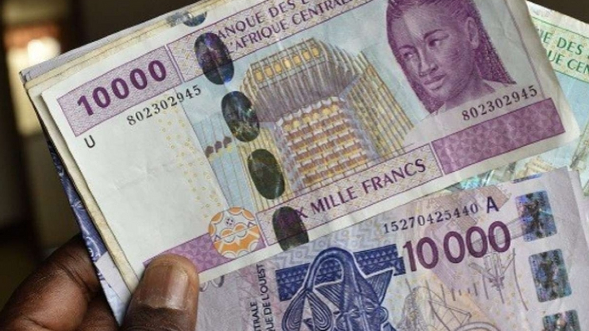 Immagine di Africa, la moneta che parla francese ricomincia a dividere un continente