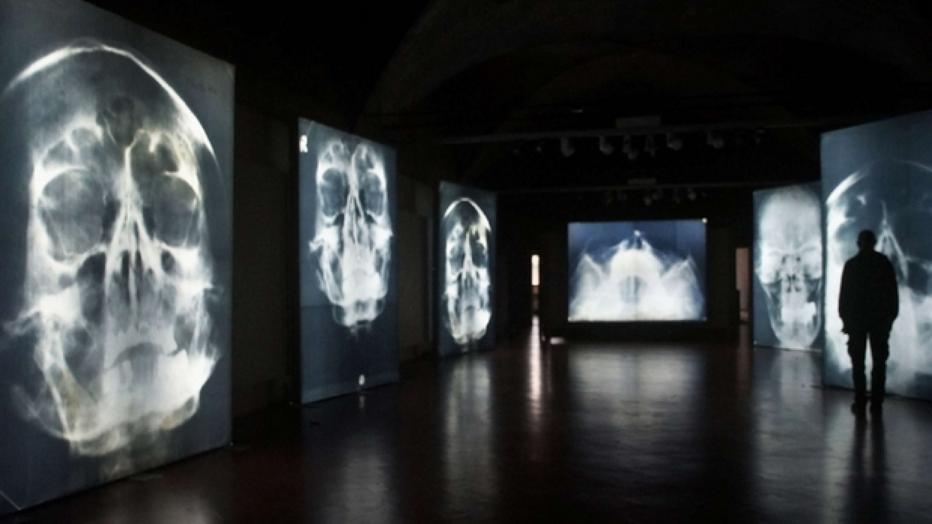Immagine di Hitler, radiografia del Male