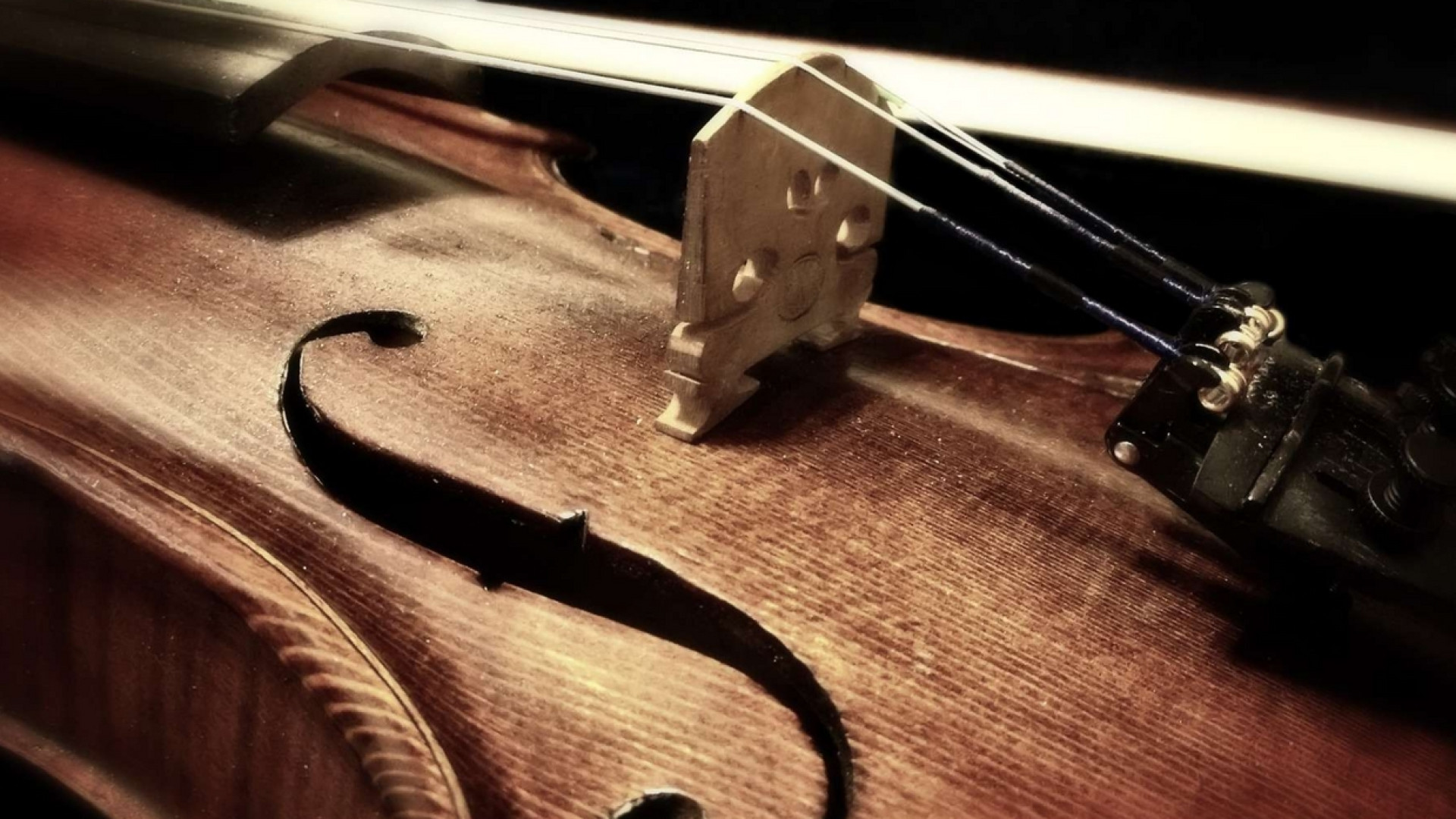 Immagine di Svelato il segreto della vernice degli Stradivari