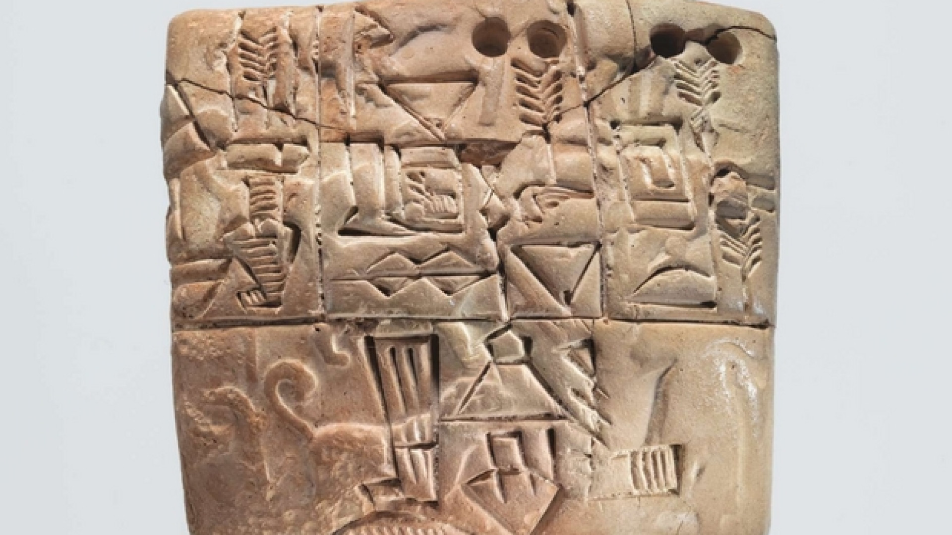 Immagine di Dalla Mesopotamia in poi le città e le istituzioni statali fondano sui cereali