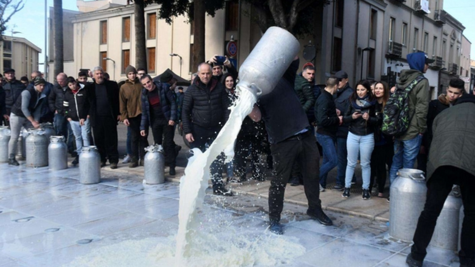 Immagine di Sardegna, il governo piange sul latte versato