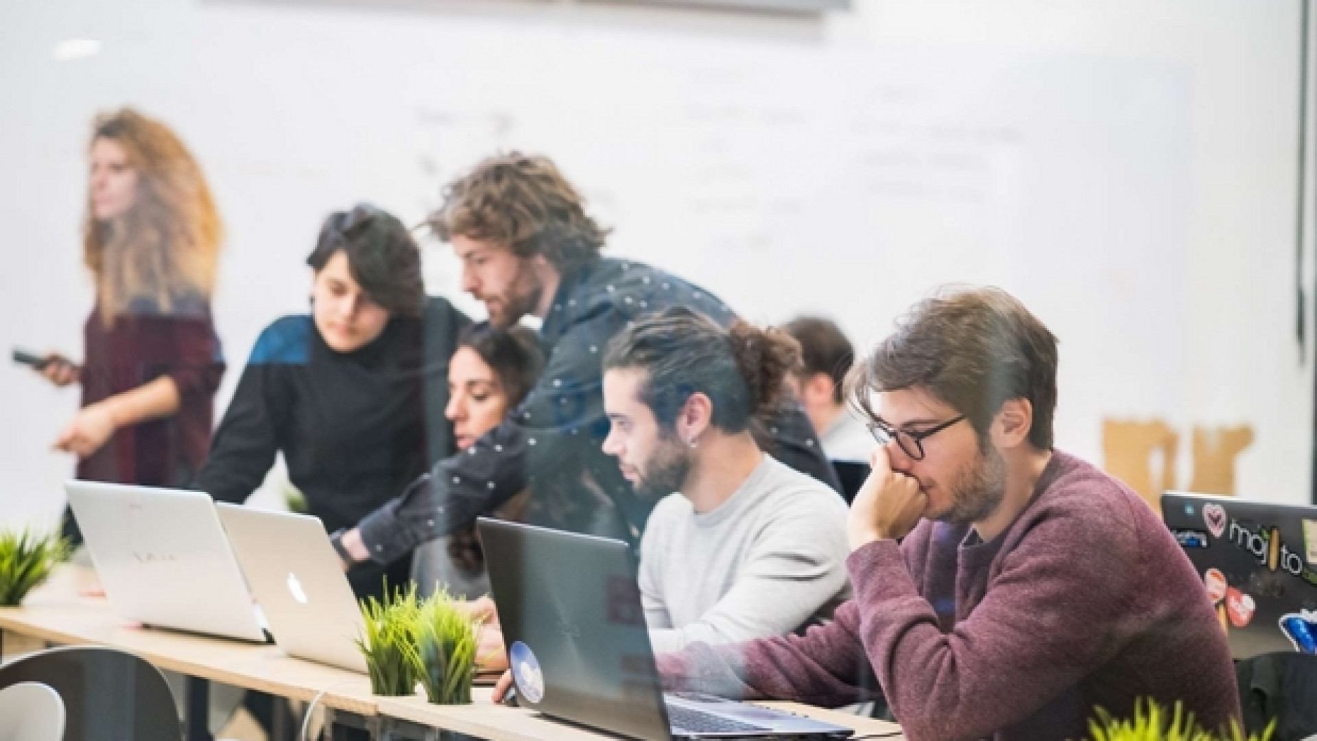 Immagine di Così si diventa professionisti della trasformazione digitale