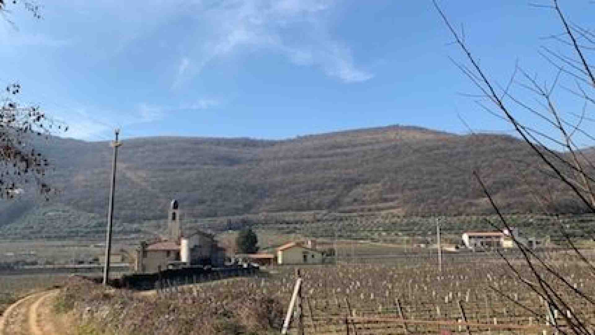 Immagine di Da Pigozzo a Trezzolano sulle tracce delle sparasine