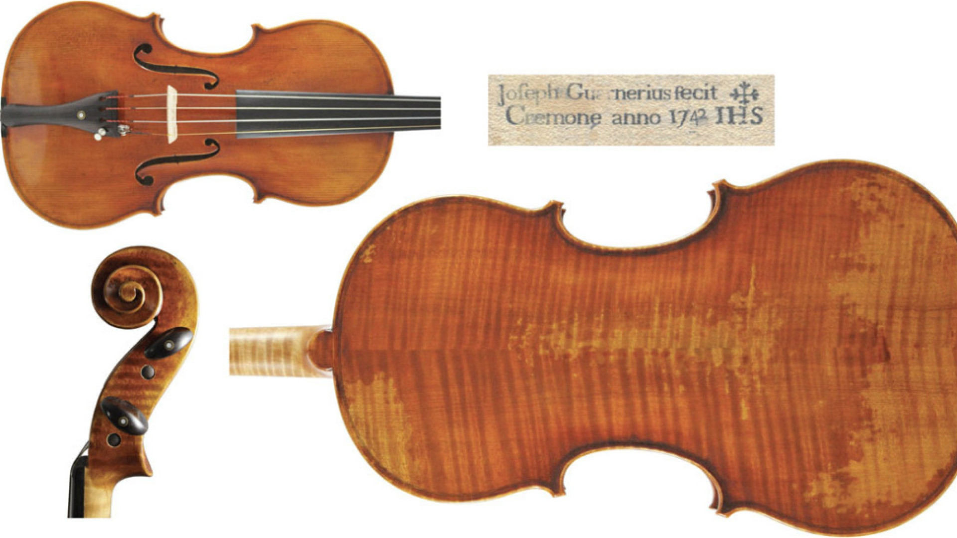 Immagine di Guarneri del Gesù, film sfumato