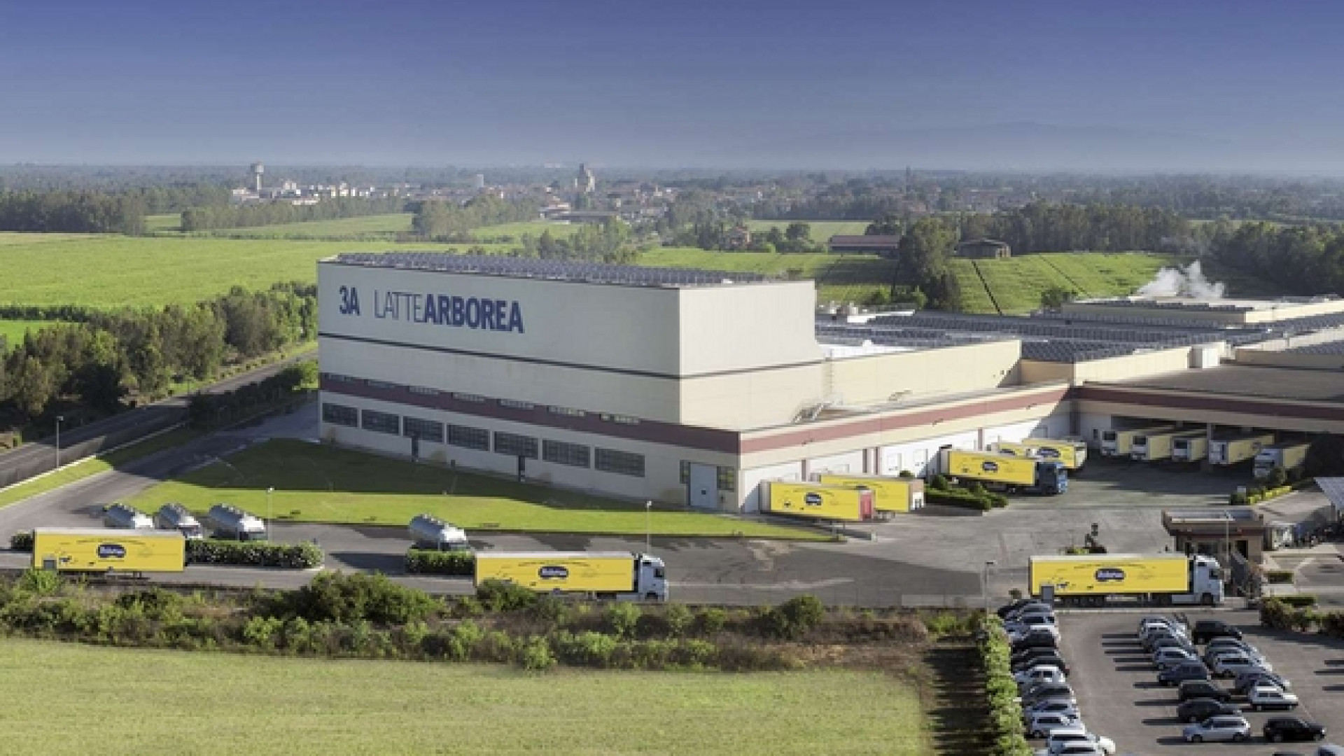 Immagine di Arborea, il latte cooperativo che unisce i produttori sardi
