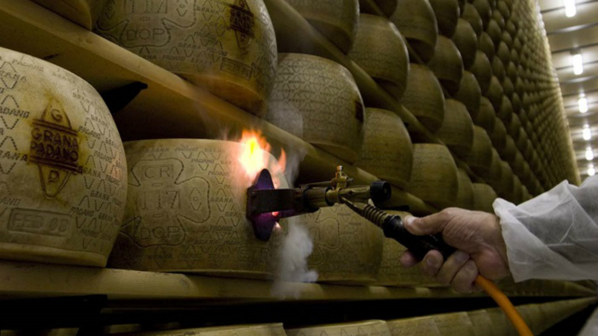 Immagine di Latteria Soresina scommette sul Grana Padano e vola oltre i 400 milioni di euro di fatturato