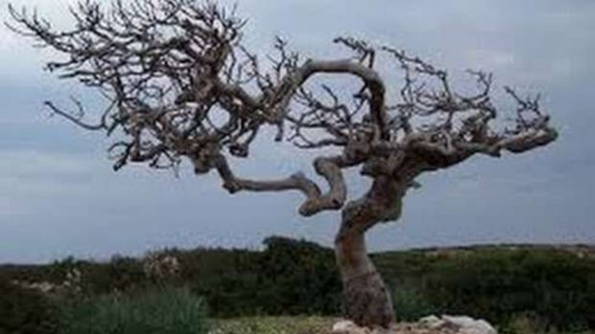 Immagine di Quell'invito a cambiare rotta su ogni fronte