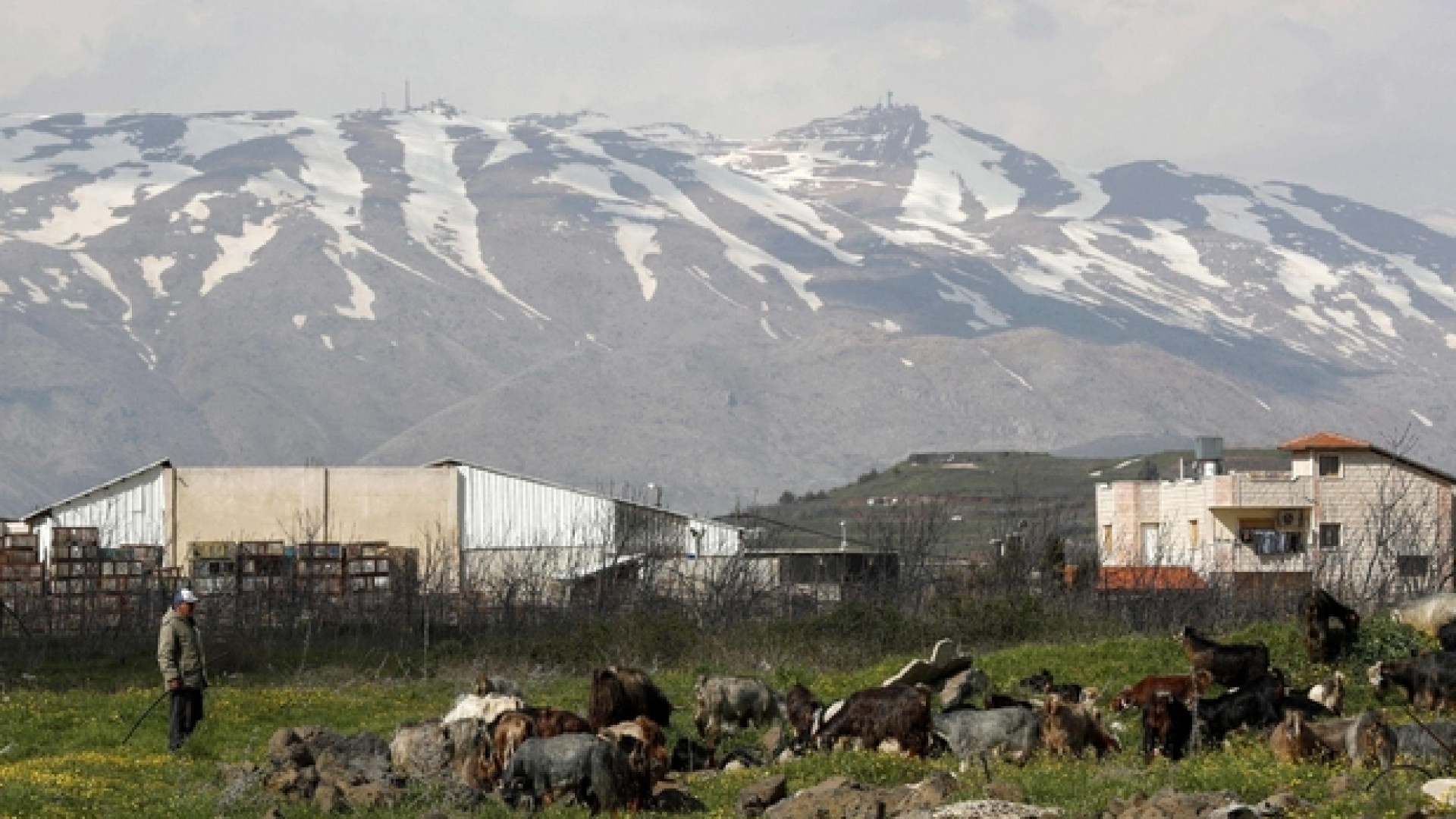 Immagine di Raid di Israele: sette iraniani uccisi