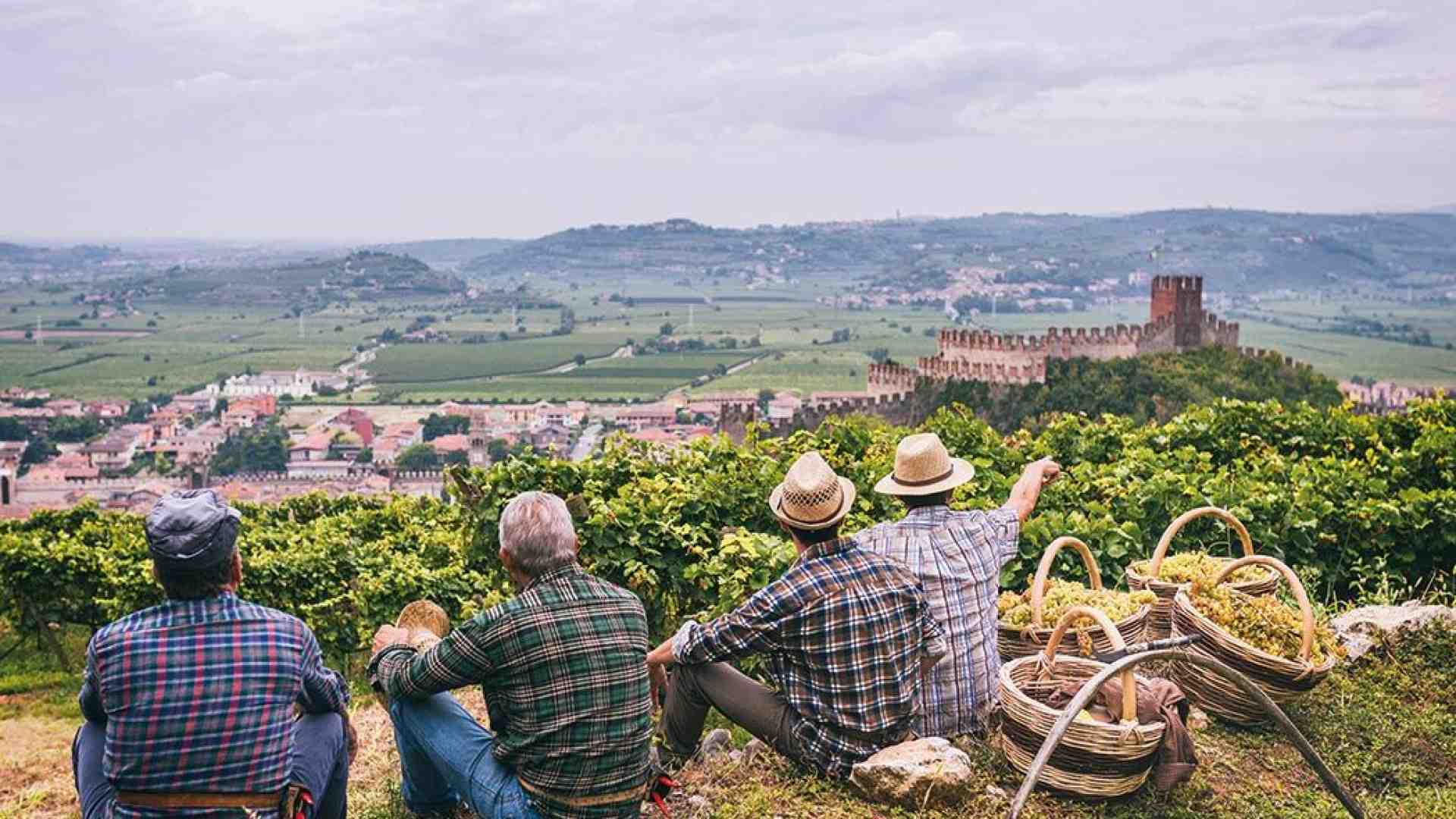 Immagine di Soave patrimonio mondiale delle Fao