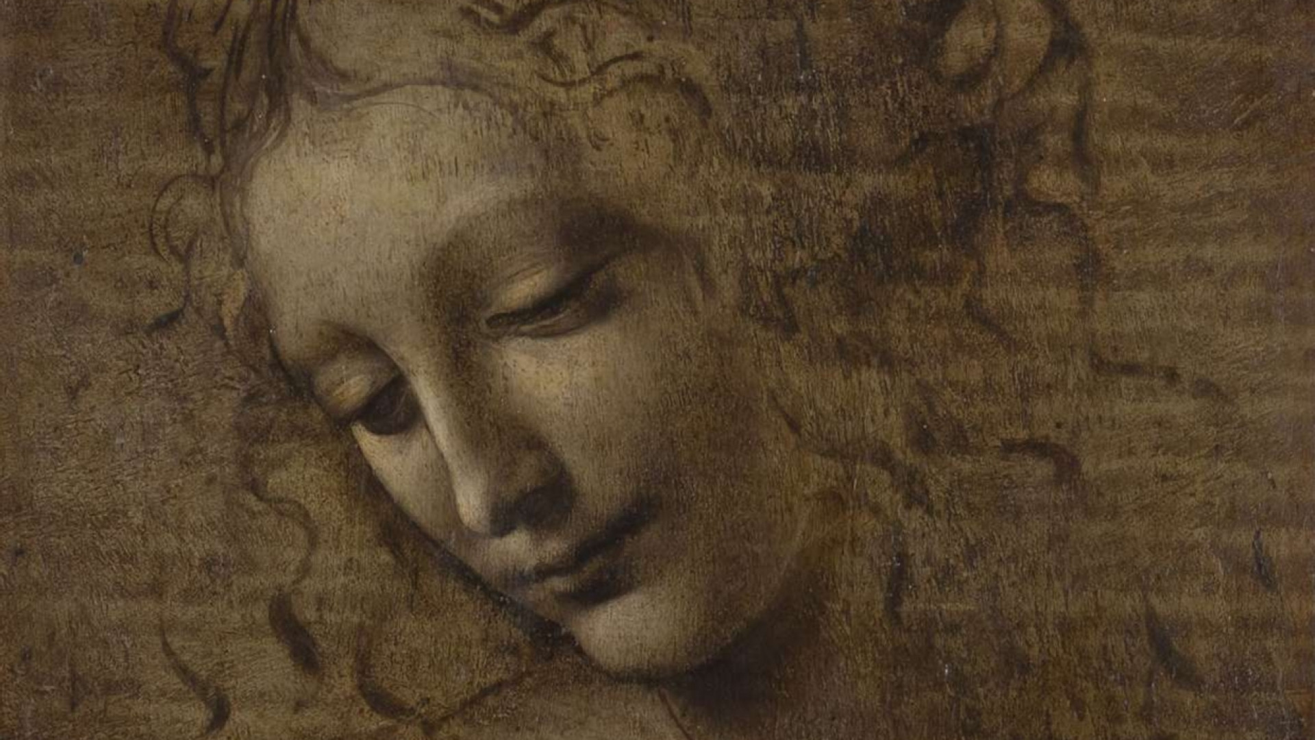 Immagine di Leonardo da Vinci: ecco tutte le mostre che ricordano il genio