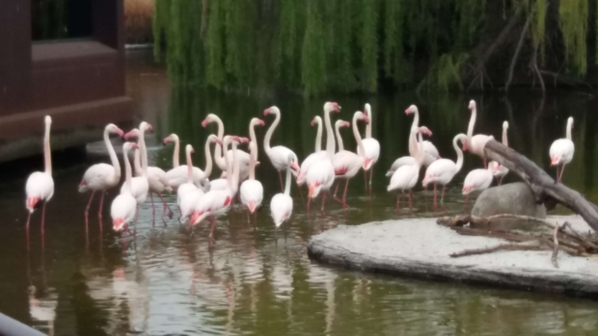Immagine di Posti di lavoro con il bioparco