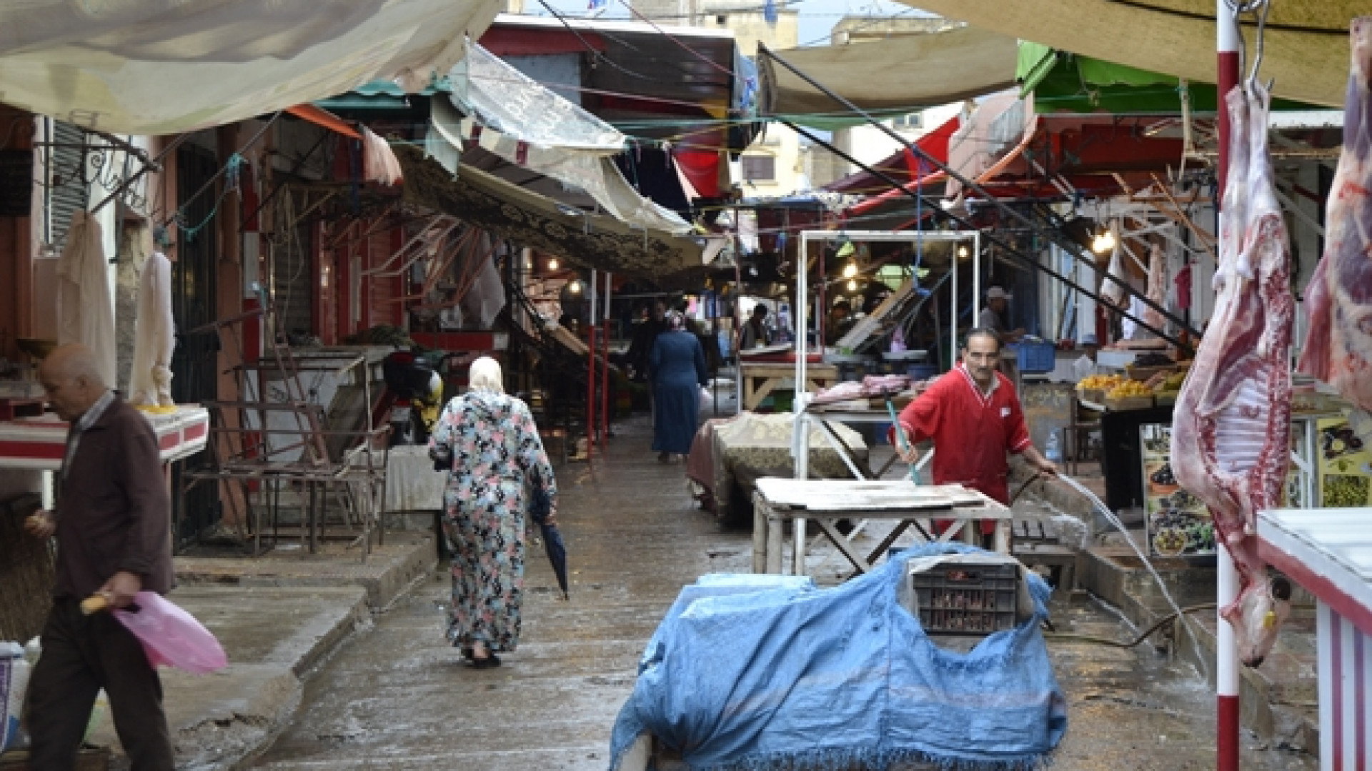 Immagine di Dal Marocco all'Italia e ritorno: sviluppo solo a metà
