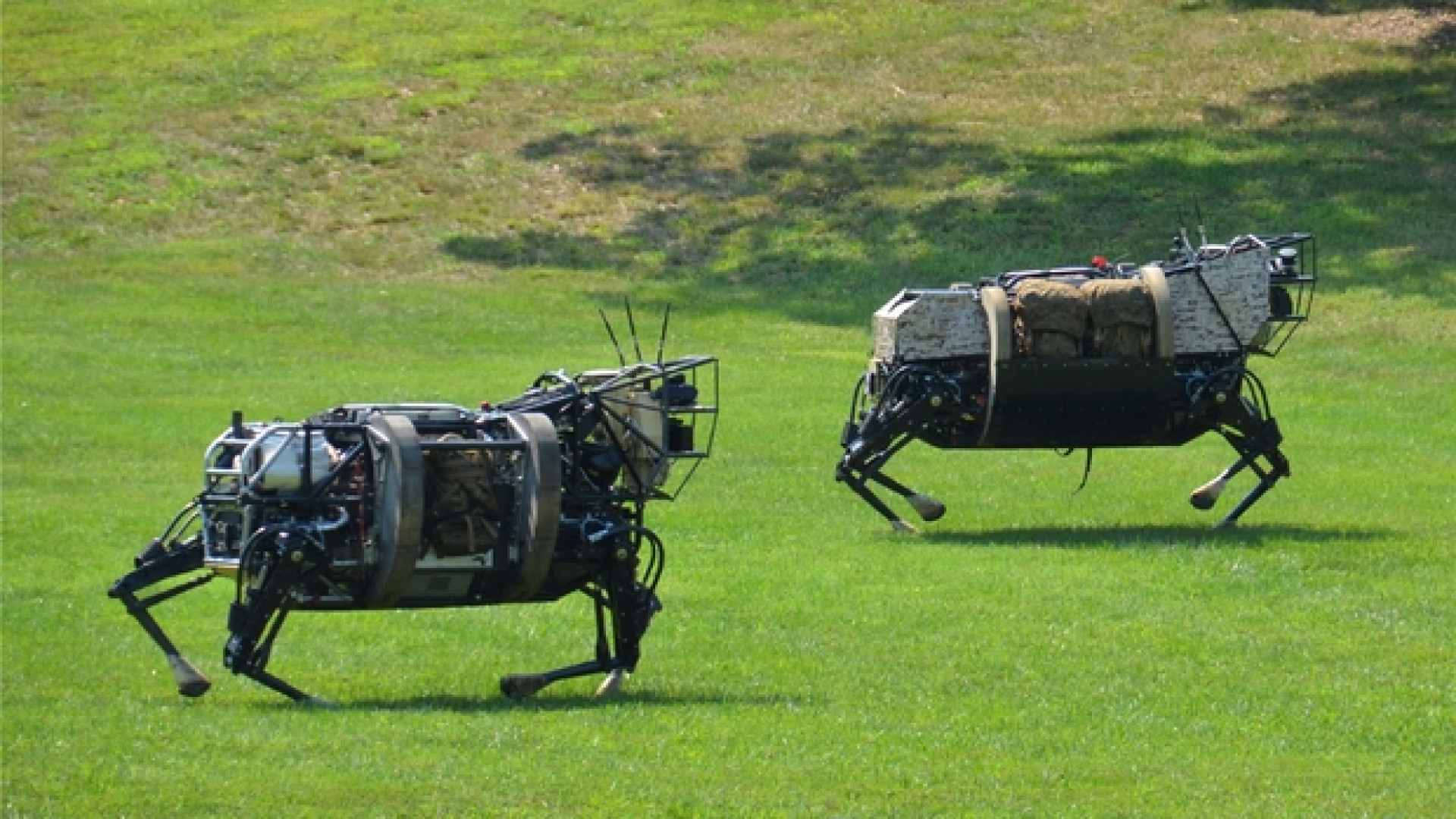 Immagine di I francesi schierano i muli-robot in prima linea