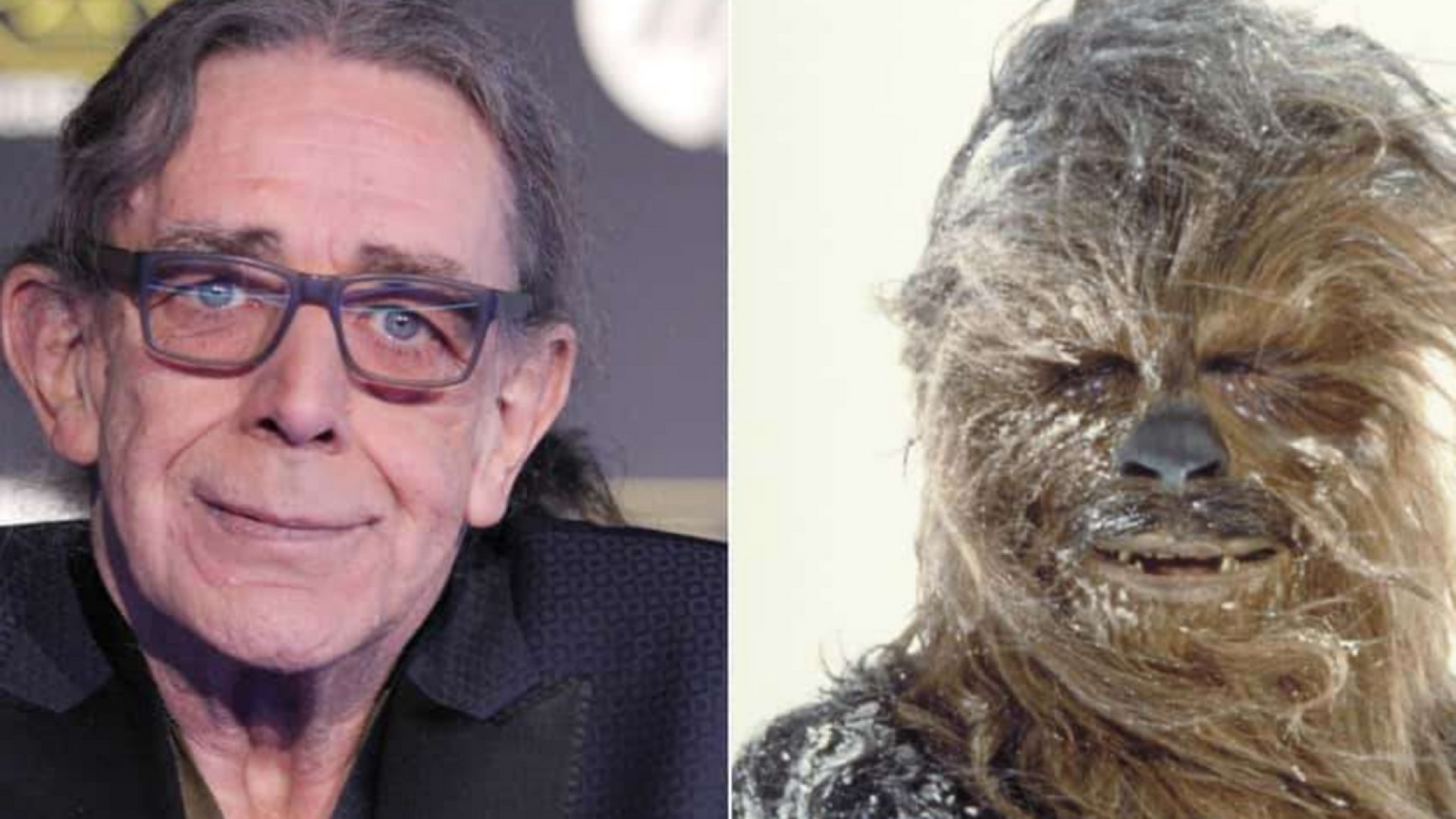 Immagine di Addio a Chewbecca: è morto l'attore Peter Mayhew