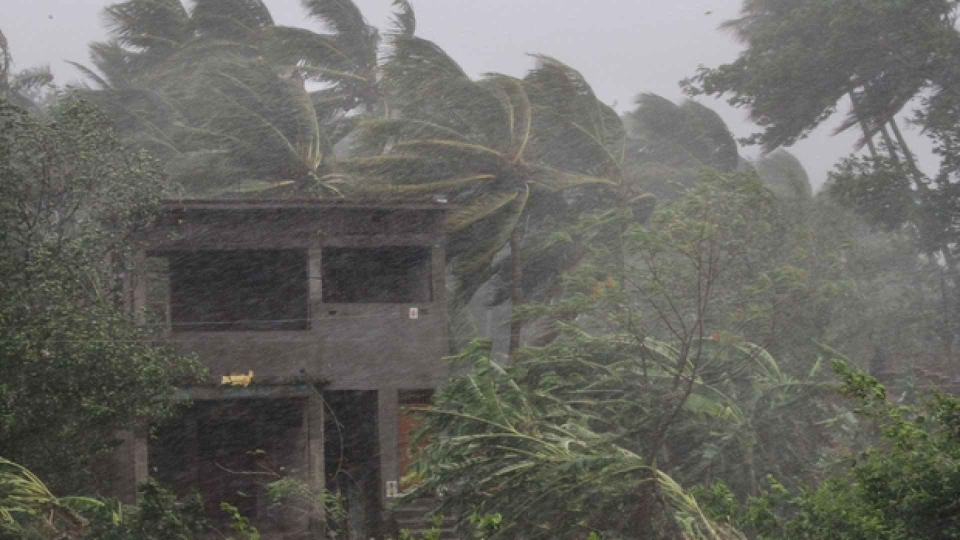 Immagine di Il super-ciclone Fani devasta l'Orissa: oltre un milione di sfollati