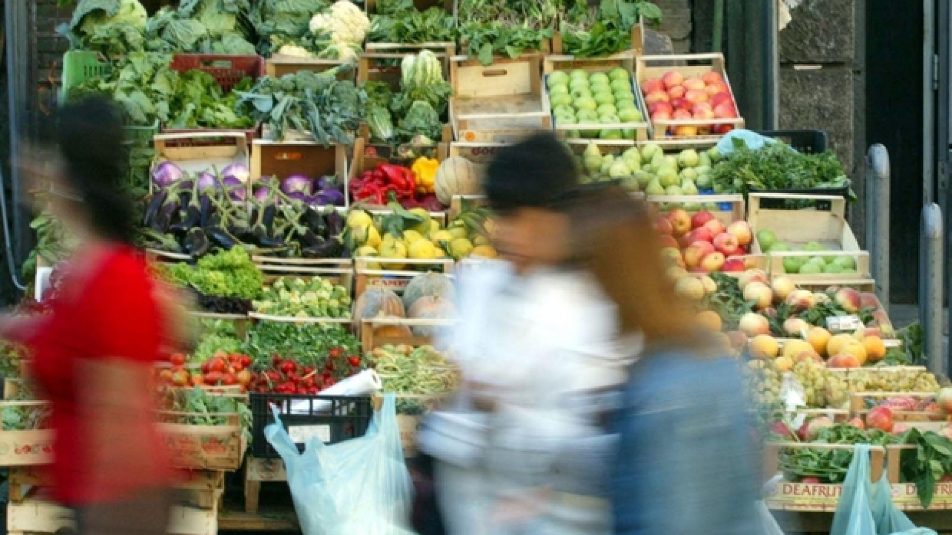 Immagine di Cibo biologico senza antiparassitari, ma con concimi al veleno