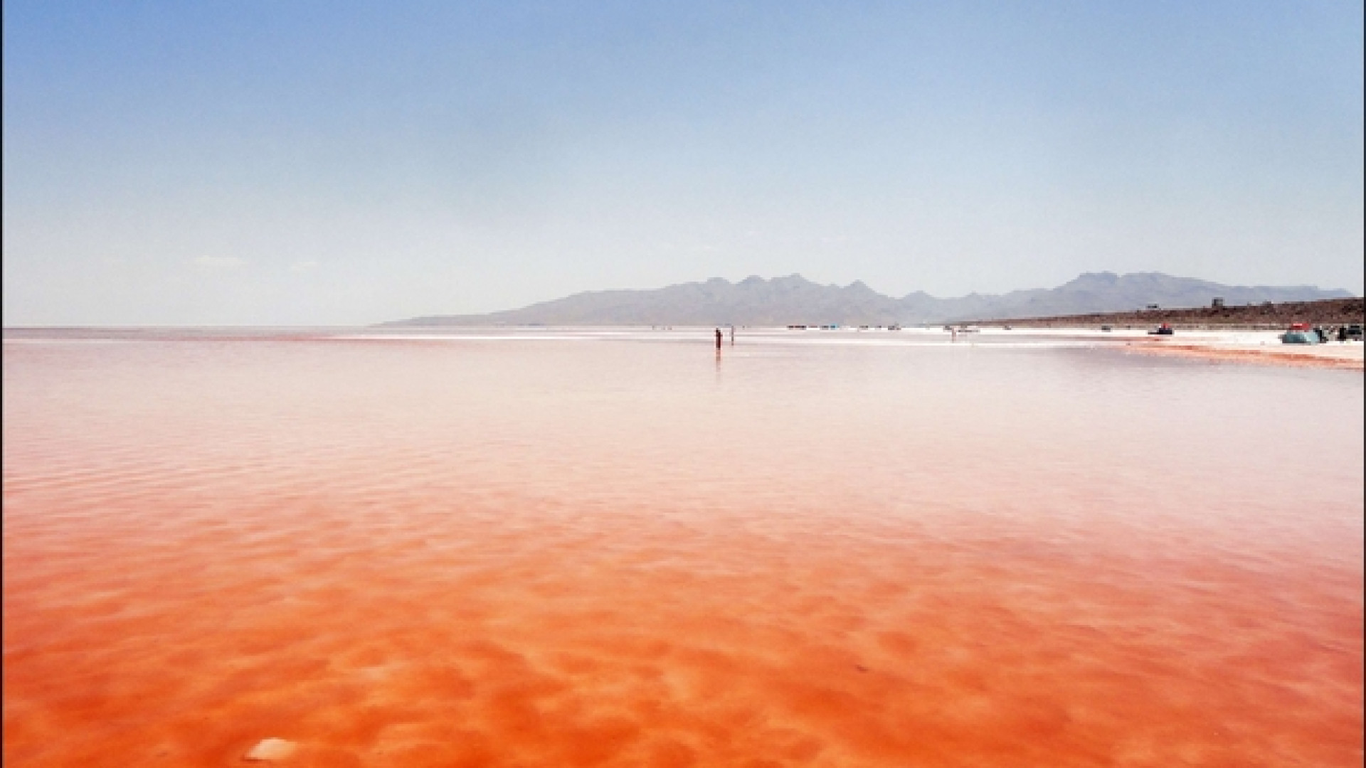 Immagine di Cambiano i colori della natura ma è colpa del clima più caldo