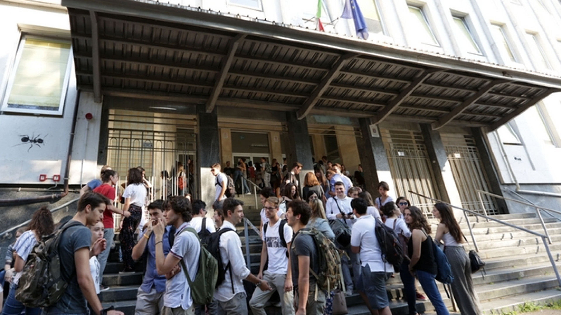 Immagine di Tutto quello che ho imparato in quest'anno di scuola