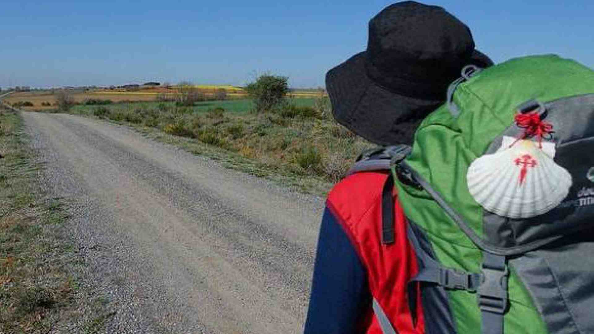 Immagine di «Io pellegrino per capire la vita»